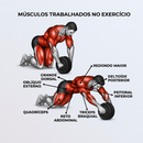 Roda Abdominal Dupla com Apoio Treino Funcional Abdômen e Academia em Casa Saúde Bem Estar Lançamento