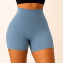 Shorts Fitness Canelado Academia Zero Transparencia Feminino LP