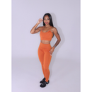 Conjunto Top e Legging Alcinha Nadadora Fitness Academia Treino