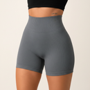 Shorts Fitness Canelado Feminino Queen Luna Fit – Zero Transparência, Cintura Alta e Conforto Absoluto