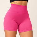 Shorts Fitness Canelado Academia Zero Transparencia Feminino LP
